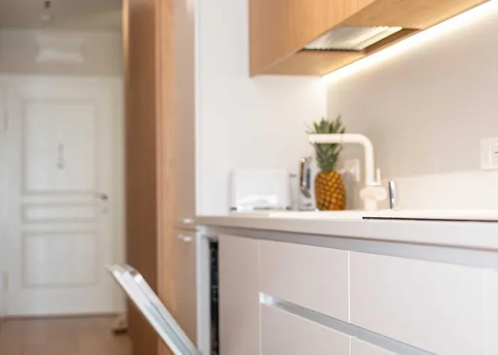 公寓 Harmony Delux -free Parking 布尔加斯